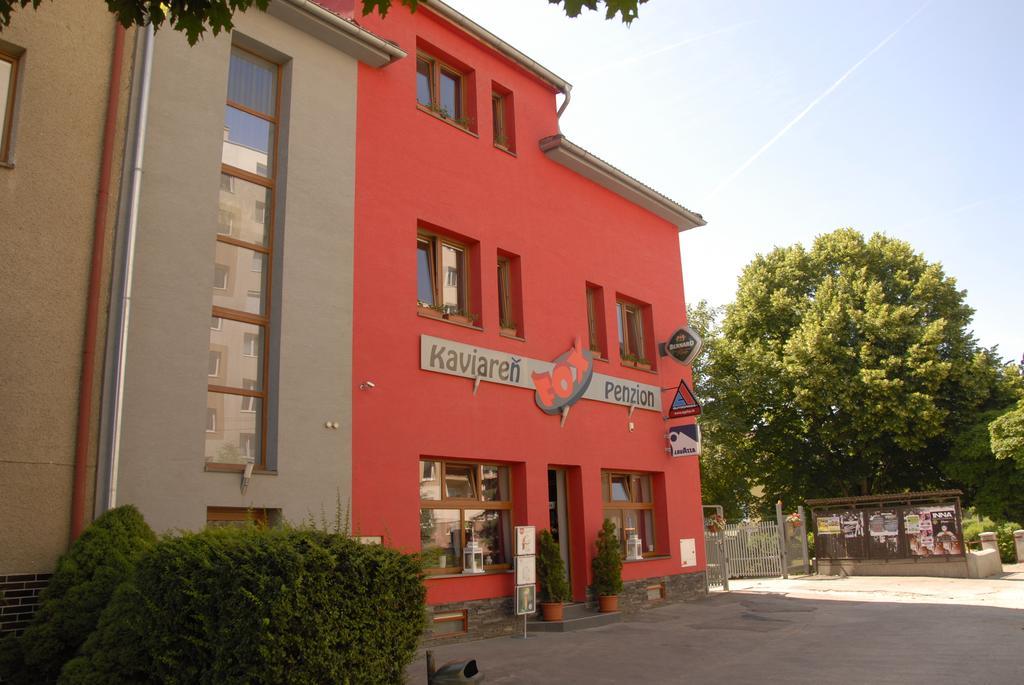 Penzion Fox Nemsova Bagian luar foto