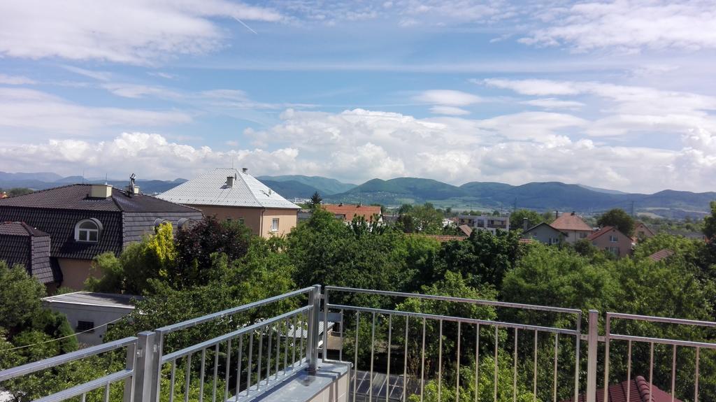Penzion Fox Nemsova Bagian luar foto