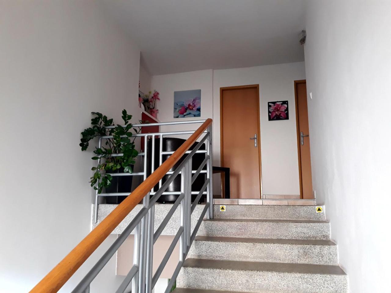 Penzion Fox Nemsova Bagian luar foto